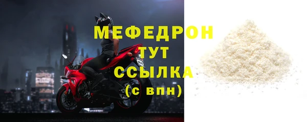 индика Анжеро-Судженск