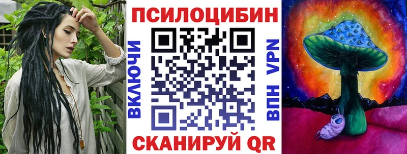 Псилоцибиновые грибы Psilocybine cubensis  Жердевка 