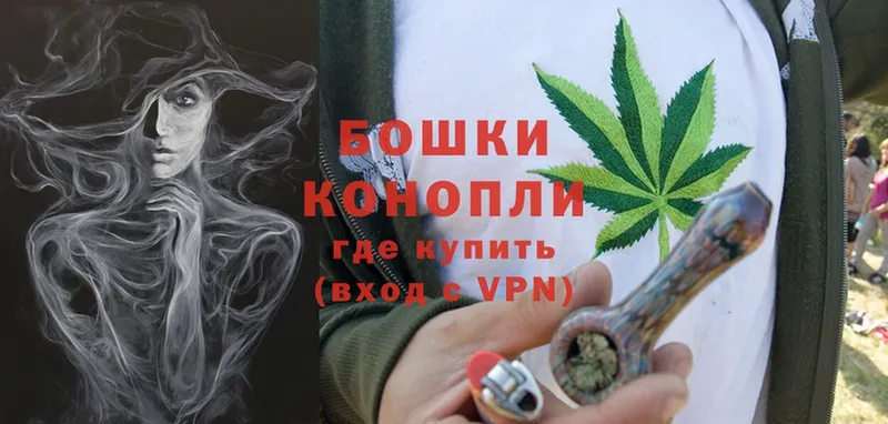 Бошки марихуана THC 21%  продажа наркотиков  Жердевка 